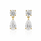 The Amara Earrings